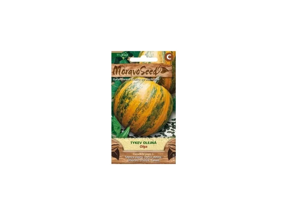 Tykev olejná Olga - MORAVOSEED Cenová Bomba