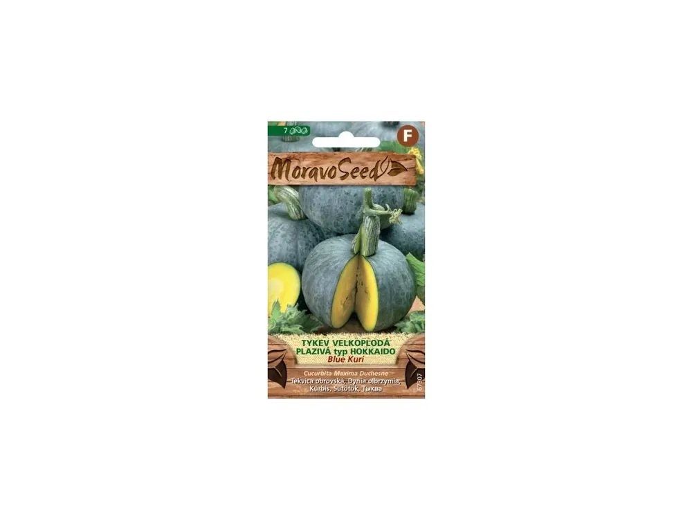 Finální Výprodej Tykev plazivá Blue Kuri (typ Hokkaido) - MORAVOSEED
