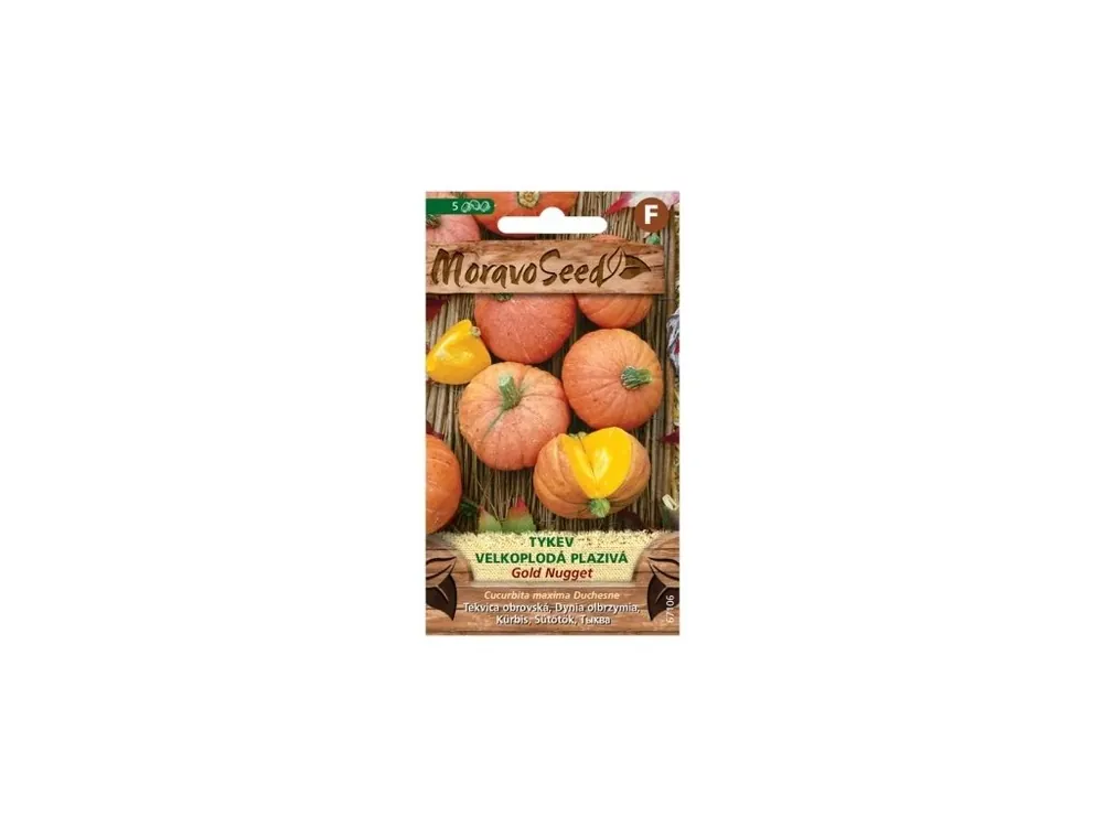 Speciální Cena Tykev plazivá Gold Nugget - MORAVOSEED