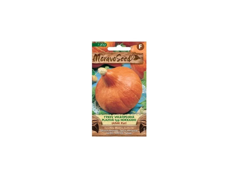 Tykev plazivá Uchiki Kuri (typ Hokkaido) - MORAVOSEED Nejprodávanější