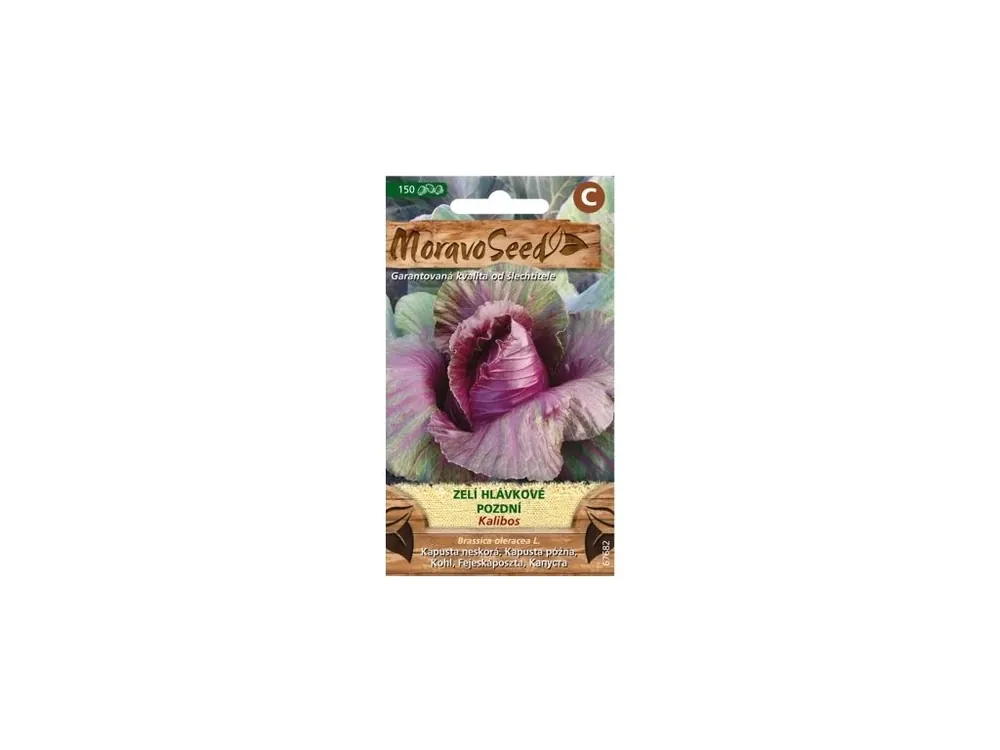 Nízká Cena Zelí hlávkové Kalibos - MORAVOSEED