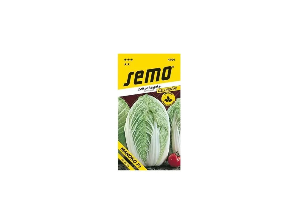 Finální Výprodej Zelí pekingské - Manoko F1 40s