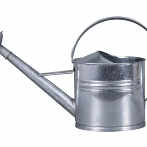 Akce Konev pozinkovaná s růžicí 10l