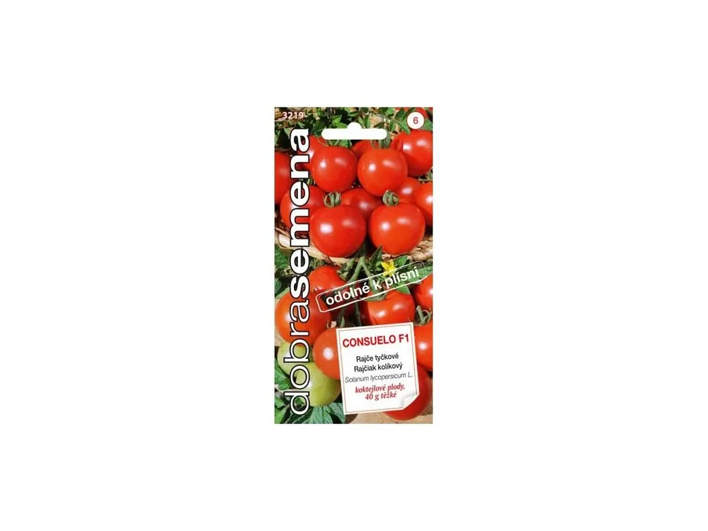 Kup Teď Rajče tyč. koktejlové - Consuelo F1 10s - Dobrá semena