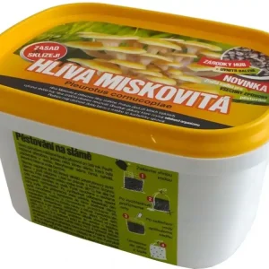Sadba - Hlíva miskovitá 450 ml, zrnitá sadba Odeslání Ihned