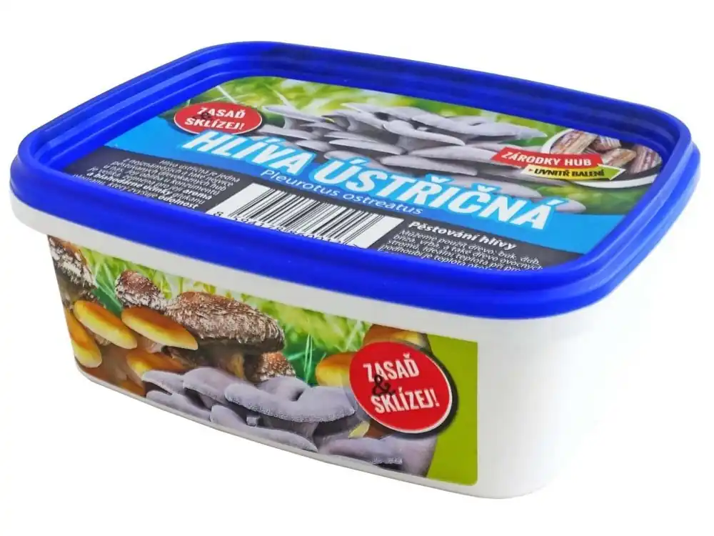 Sadba - Hlíva ústřičná 250 ml, kolíčky Nejlepší Cena