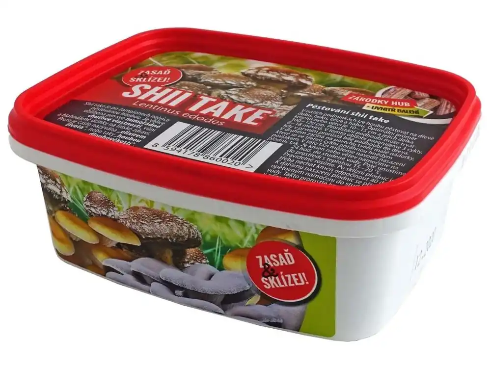 Rychlé Dodání Sadba - Shii Take 250 ml, kolíčky