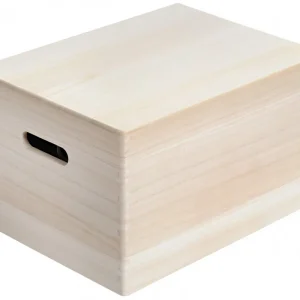 Super Cena Víceúčelový úložný box s víkem, 39 x 29 x 23 cm
