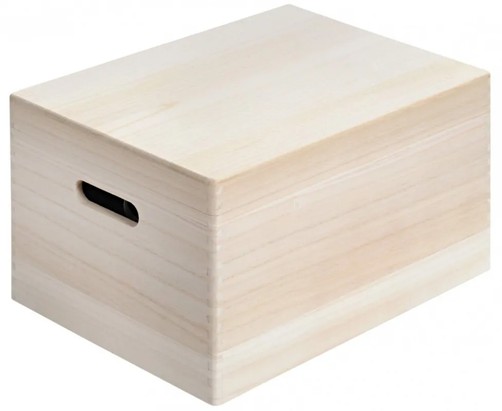 Super Cena Víceúčelový úložný box s víkem, 39 x 29 x 23 cm