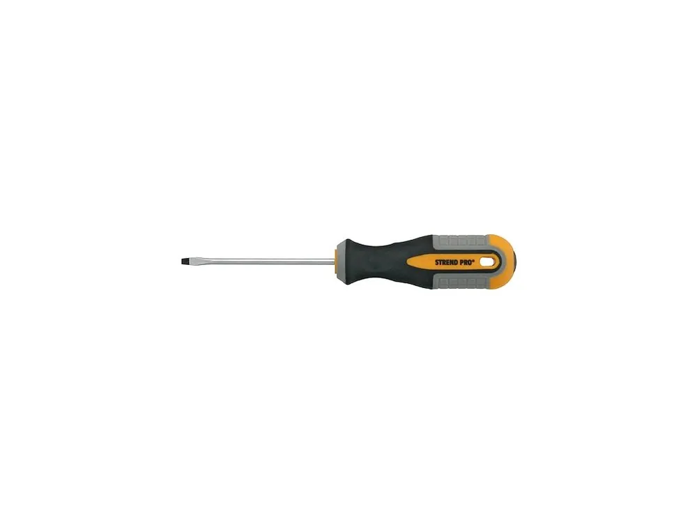 Sleva Šroubovák plochý 3x100mm STREND PRO