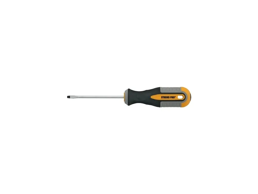 Ihned K Objednání Šroubovák plochý 3x75mm STREND PRO