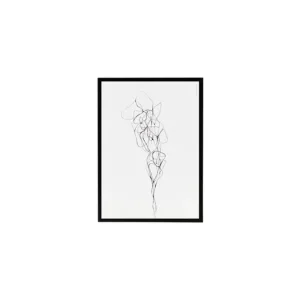 Ilustrace v černém rámu Pen 2 Rychlé Dodání