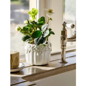 Kameninový kvetináč Cetara Rustic White 13 cm Novinka