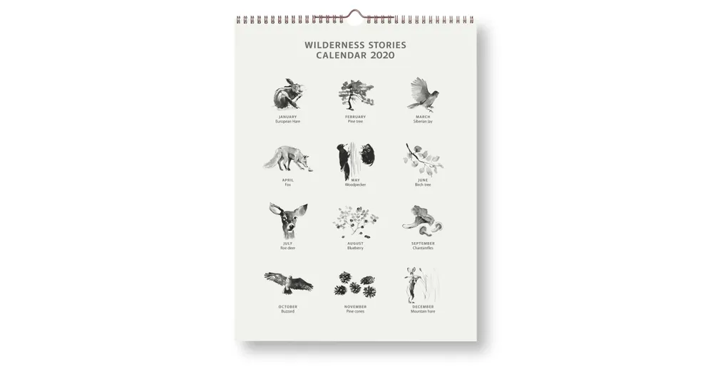 Novinka Nástěnný kalendář Wilderness Stories 2020 30x40 cm