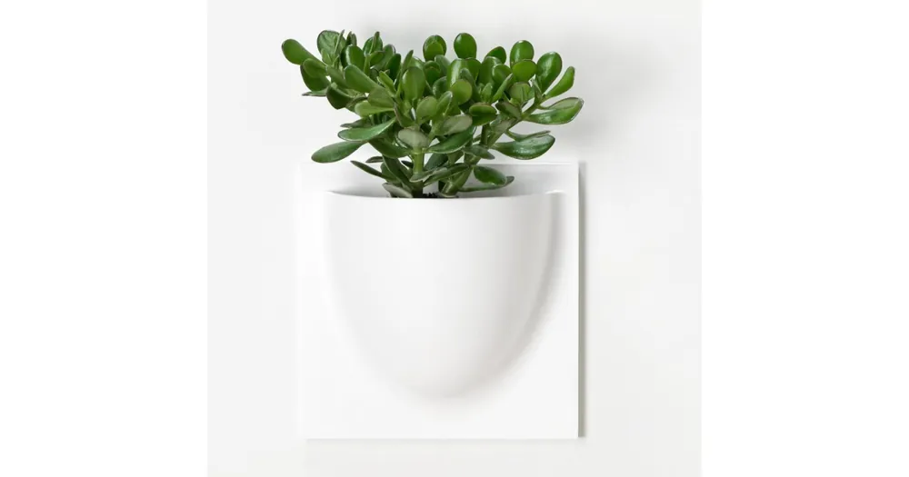 Nástenný kvetináč VertiPlants BIO White 30 cm Výprodej