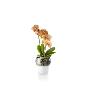 Výhodná Nabídka Samozavlažovací květináč na orchideje Frosted