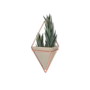 Nástenný kvetináč Trigg Concrete small - sada 2 ks Levný