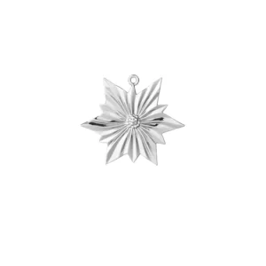 Objednat Nyní Vianočná ozdoba North Star Silver 6,5 cm