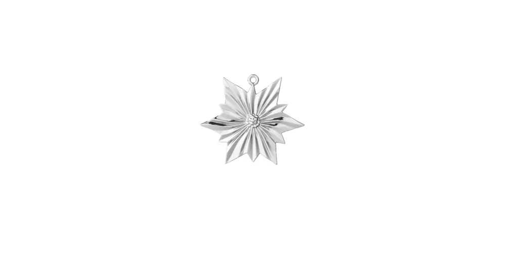 Objednat Nyní Vianočná ozdoba North Star Silver 6,5 cm