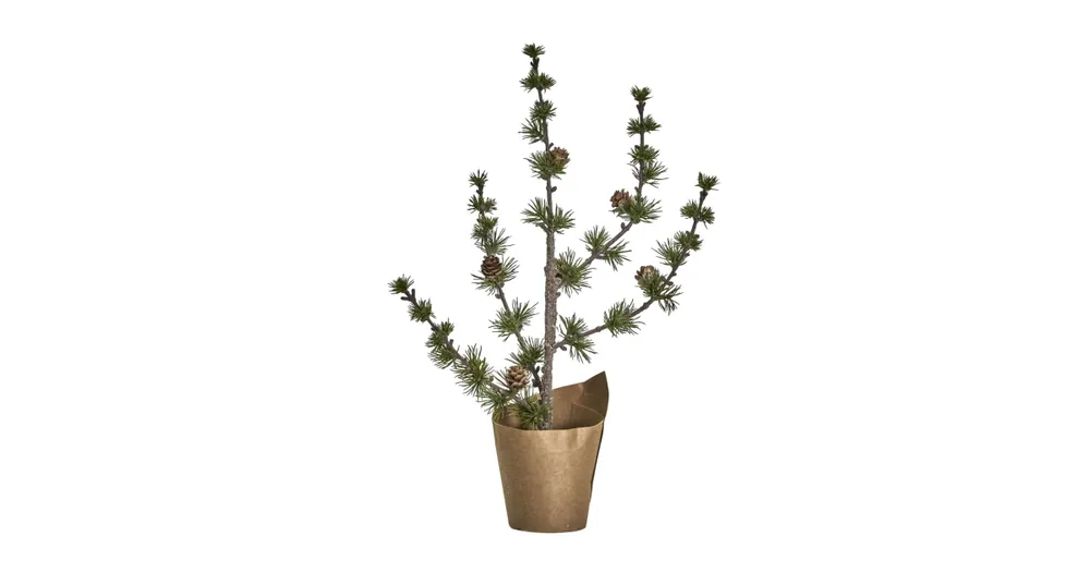 Značkový Vánoční stromek Cedar 40 cm