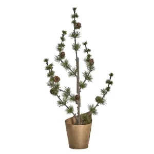 Objednat Nyní Vánoční stromek Cedar 50 cm