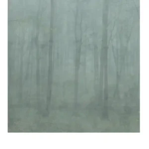 Tapeta Skog 622-08 Sezónní Sleva
