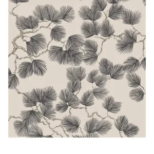 Tapeta Pine S10325 Odeslání Ihned