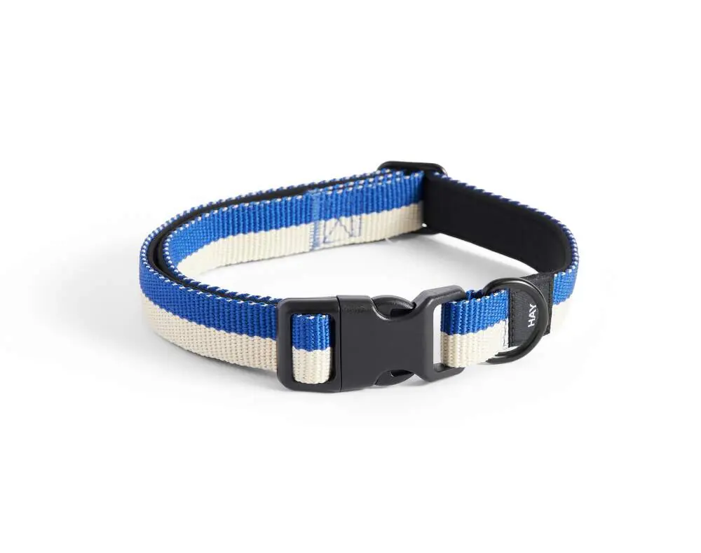 Obojek pro psa Dogs Collar Flat S/M, off-white/blue Nová Kolekce