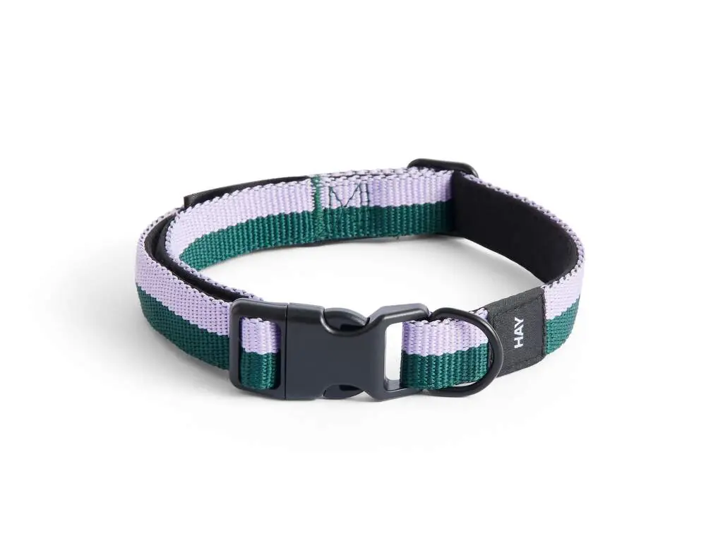 Obojek pro psa Dogs Collar Flat S/M, lavender/green Tovární Cena
