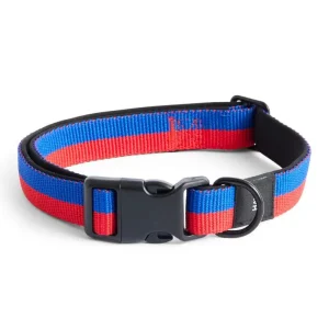 Obojek pro psa Dogs Collar Flat M/L, red/blue Akční Nabídka