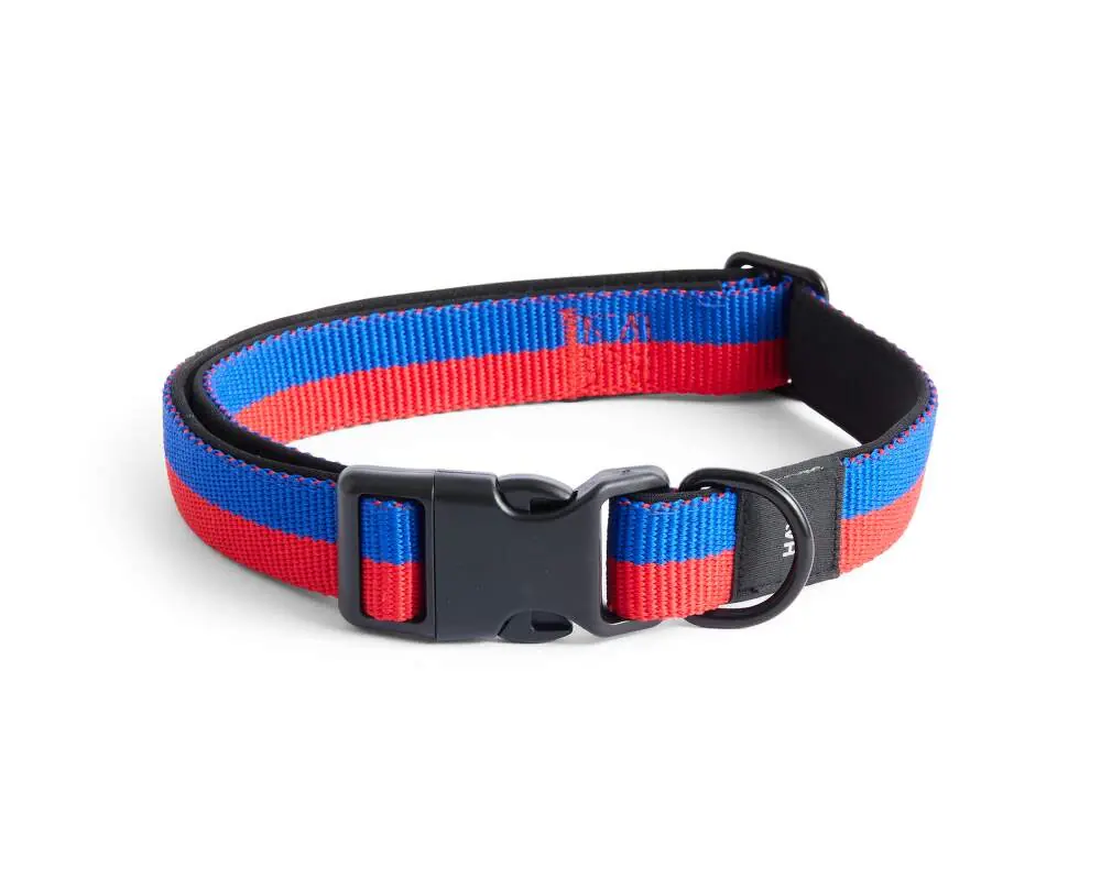 Obojek pro psa Dogs Collar Flat M/L, red/blue Akční Nabídka