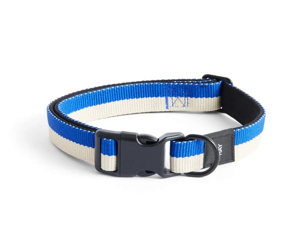 Ověřený Obojek pro psa Dogs Collar Flat M/L, off-white/blue