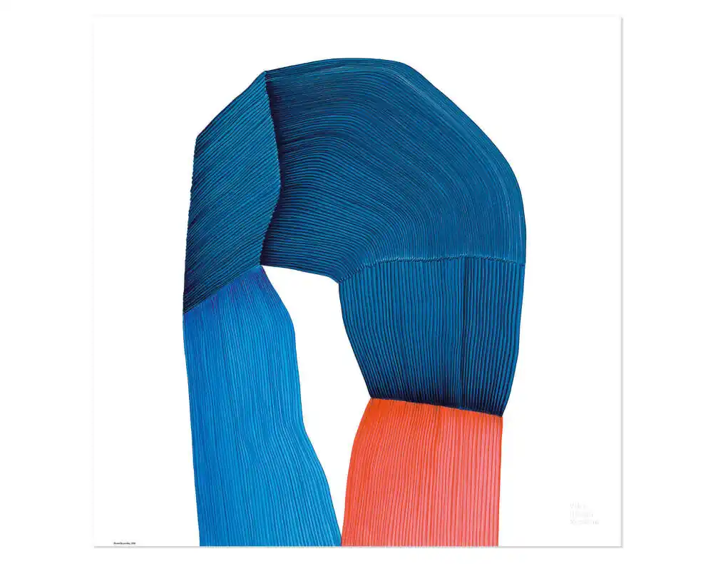 Autentický Plakát Ronan Bouroullec Drawings Poster, bicolour