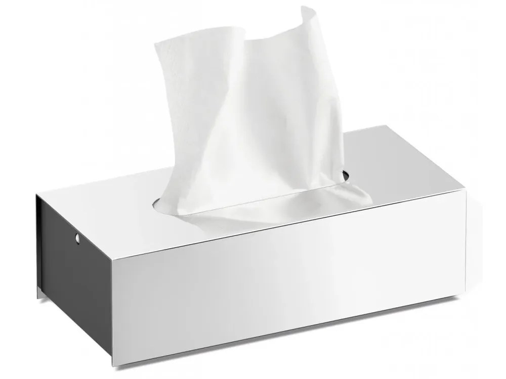 Pouze Dnes Box na papírové kapesníčky puro nerezový lesklý
