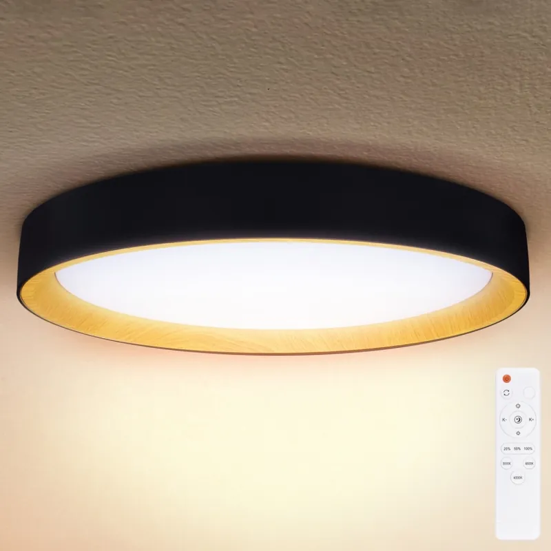 Brilagi - LED Stmívatelné stropní svítidlo LARIOS LED/48W/230V 3000-6500K pr. 39 cm černá + dálkové ovládání Nová Kolekce
