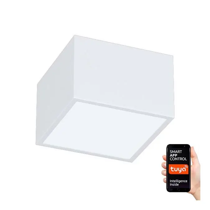 Časově Omezené Immax NEO 07072L-15 - LED Stmívatelné svítidlo CANTO LED/12W/230V bílá Tuya