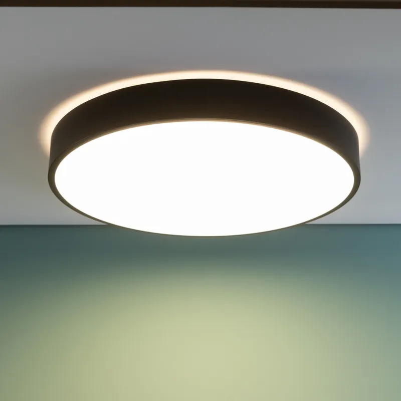 Odeslání Ihned Brilliant - LED Stmívatelné stropní svítidlo SLIMLINE LED/60W/230V 3000-6500K pr. 49 cm černá + dálkové ovládání