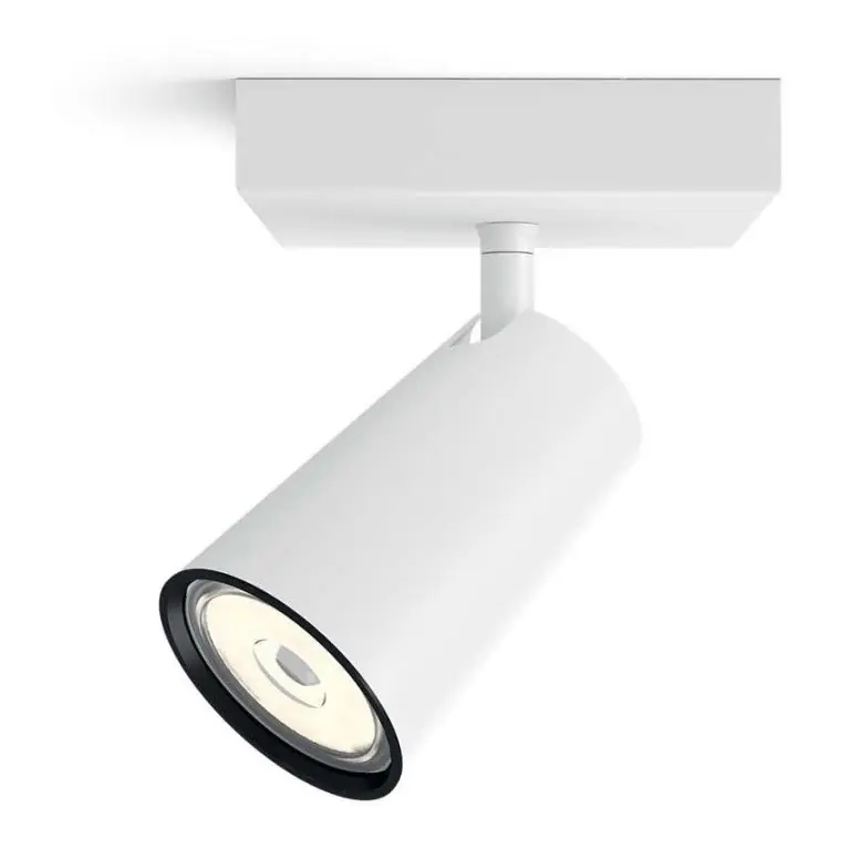 Philips - Bodové svítidlo 1xGU10/5,5W/230V Nejlepší Cena