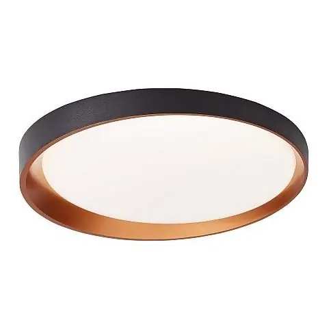 LED Stropní svítidlo ADEL LED/40W/230V pr. 50 cm černá Nejlepší Cena