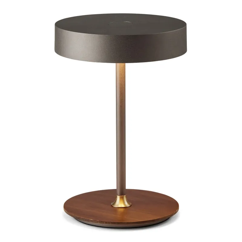 Expresní Doručení Halo Design 745791 - LED Stmívatelná nabíjecí stolní lampa ON THE MOVE LED/2,5W/4000 mAh šedá/dřevo