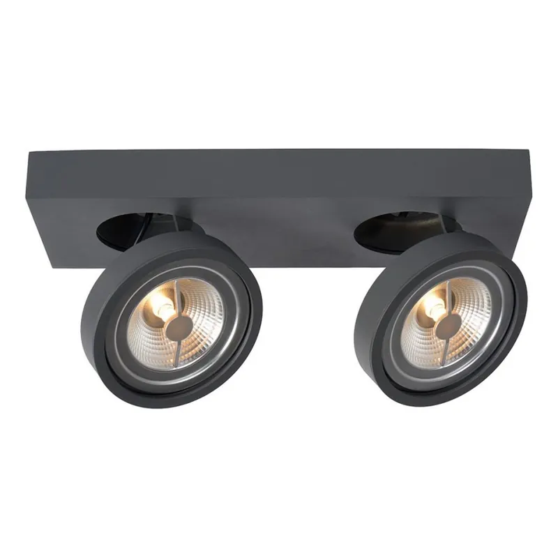 Akce Lucide 09920/20/36 - LED Stmívatelné bodové svítidlo NENAD AR111 2xG53/10W/230V