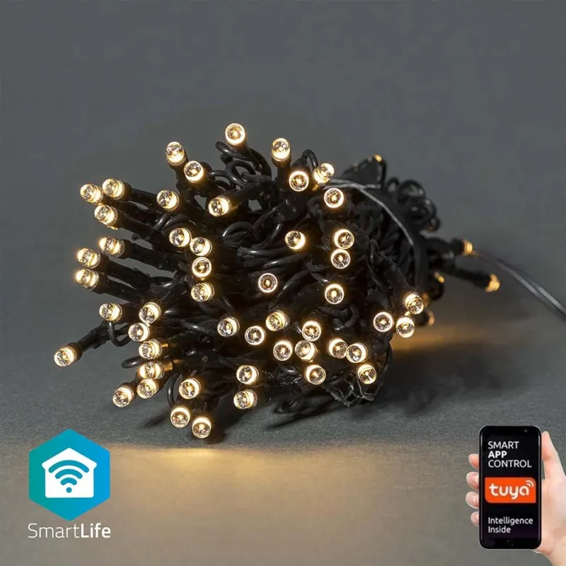 LED Venkovní vánoční řetěz 50xLED/8 funkcí 10m IP65 Wi-Fi Tuya teplá bílá Nová Kolekce