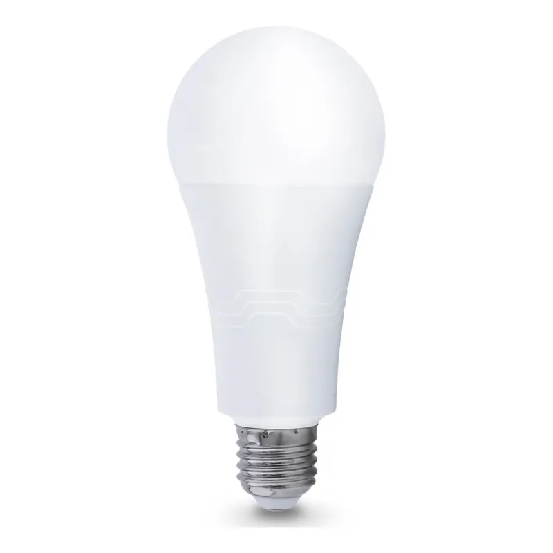 Akční Cena LED Žárovka E27/22W/230V 4000K