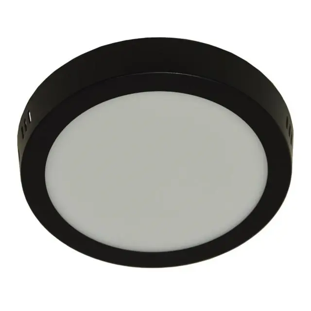 LED Stropní svítidlo GERRIT LED/12W/230V 4000K černá Nakupujte Hned