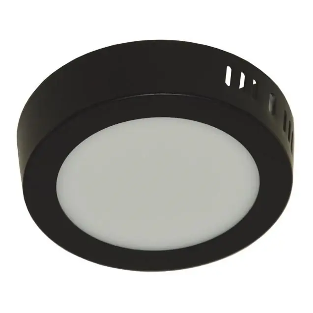 Oblíbený LED Stropní svítidlo GERRIT LED/6W/230V 4000K černá