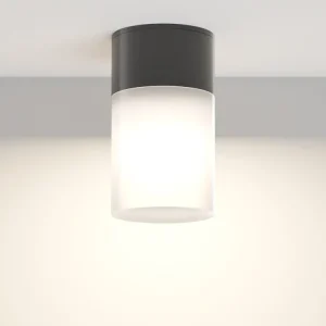 Ihned K Objednání Maytoni Willis, Venkovní stropní svítidlo, Šedá/Černá IP54 1x E27 60W