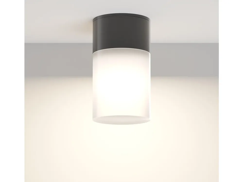 Ihned K Objednání Maytoni Willis, Venkovní stropní svítidlo, Šedá/Černá IP54 1x E27 60W